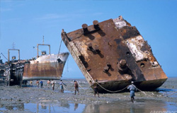 Portfolio Image